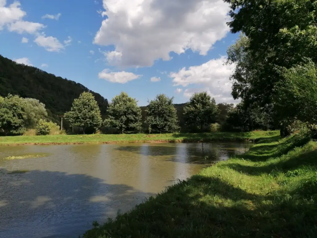 Muž, který sázel stromy