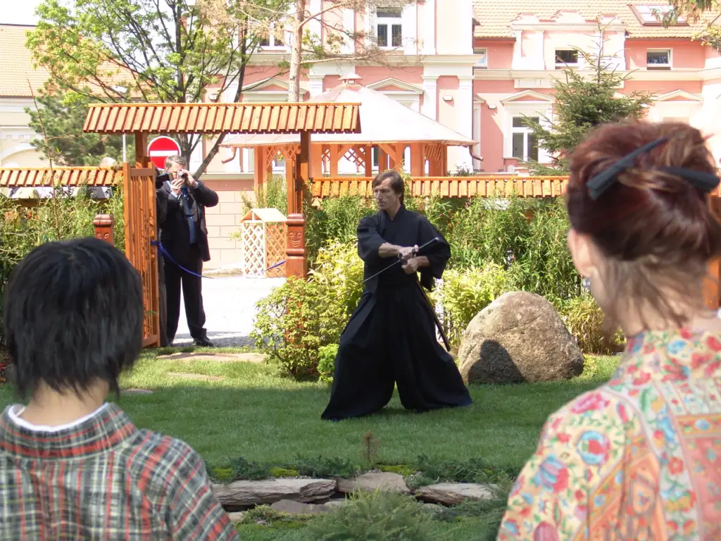 Way of the sword 10