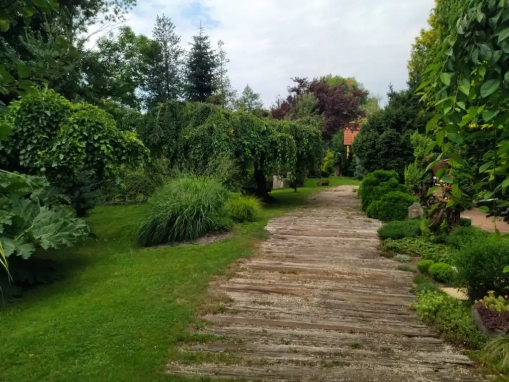 Cesta